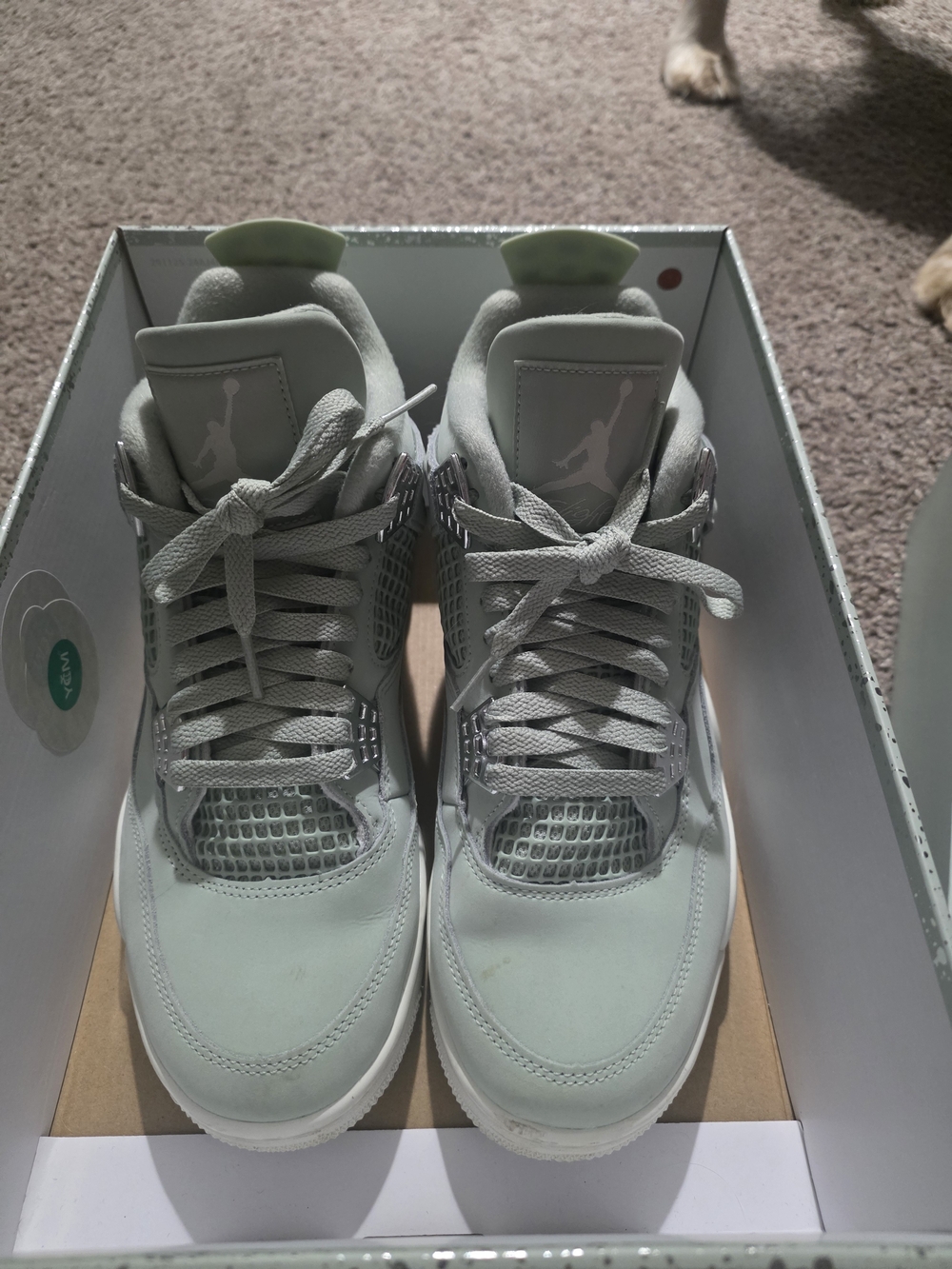 Jordan Retro 4 Women Sneakers in Light Green